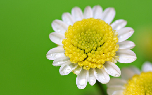 483379 (a): :1680x1050